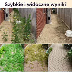 【3 torby】💥Silny herbicyd 2 w 1💥 Specjalnie opracowany do zwalczania chwastów odpornych na glifosat. Działa w ciągu 6 godzin i zaburza syntezę białek i pigmentów chwastów!