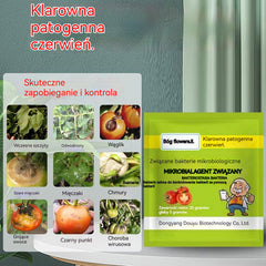 🍅🌿【4 paczek】Dolistny nawóz mikrobiologiczny do pomidorów – skuteczny na choroby liści i korzeni