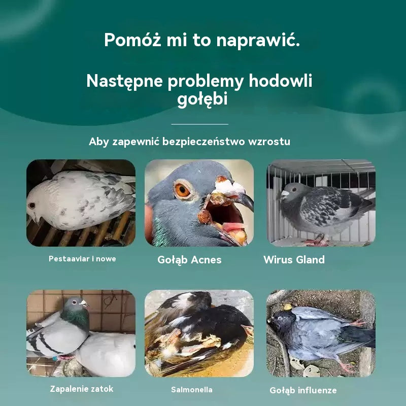 🕊️🕊️【✨Kup 1, a 1 dostaniesz gratis】200 tabletek, lek przeznaczony specjalnie dla gołębi pocztowych, kuracja 6 w 1 dla gołębi — szybkie gojenie, niezwykłe rezultaty!