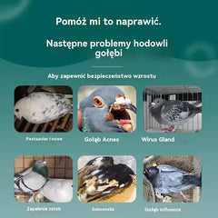 🕊️🕊️【✨Kup 1, a 1 dostaniesz gratis】200 tabletek, lek przeznaczony specjalnie dla gołębi pocztowych, kuracja 6 w 1 dla gołębi — szybkie gojenie, niezwykłe rezultaty!
