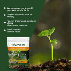 🌱🌳【50% zniżki】Kup jeden, a drugi dostaniesz gratis,Aktywator składników odżywczych do gleby roślinnej wspomaga wzrost i rozwój korzeni u roślin i sadzonek