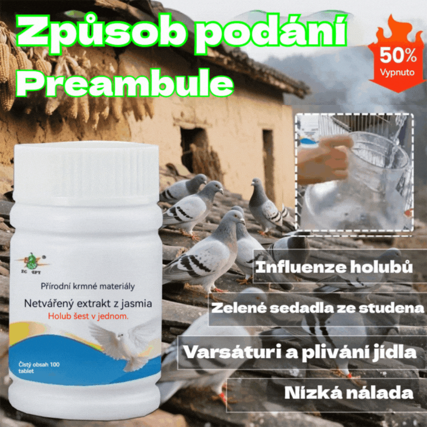🕊️🕊️【✨Kup 1, a 1 dostaniesz gratis】200 tabletek, lek przeznaczony specjalnie dla gołębi pocztowych, kuracja 6 w 1 dla gołębi — szybkie gojenie, niezwykłe rezultaty!