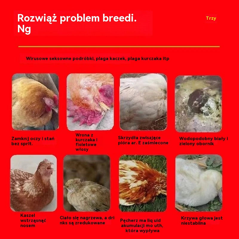 🐔🦆🪿Specjalnie skuteczny lek przeciw grypie dla kur, kaczek, gęsi i drobiu