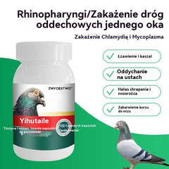 🕊️100 tabletek, specjalny lek dla gołębi pocztowych, stosowany w leczeniu kaszlu, świszczącego oddechu, łzawienia, niewyraźnego widzenia, jaglicy oraz czarno-czerwonej wydzieliny z nosa.