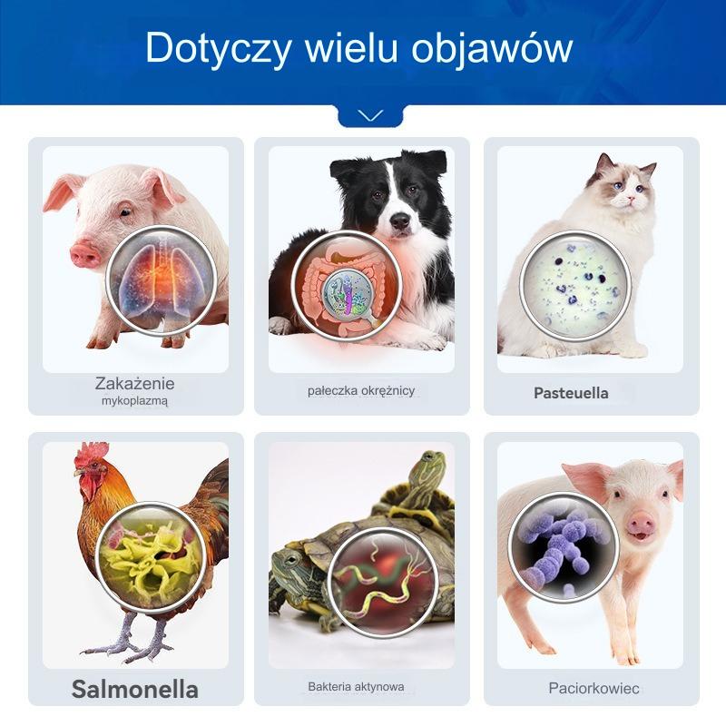 【100 tabletek w butelce】🕊️🐔 Leki weterynaryjne Oksytetracyklina Tabletki przeciwbakteryjne, przeciwzapalne i przeciwbiegunkowe