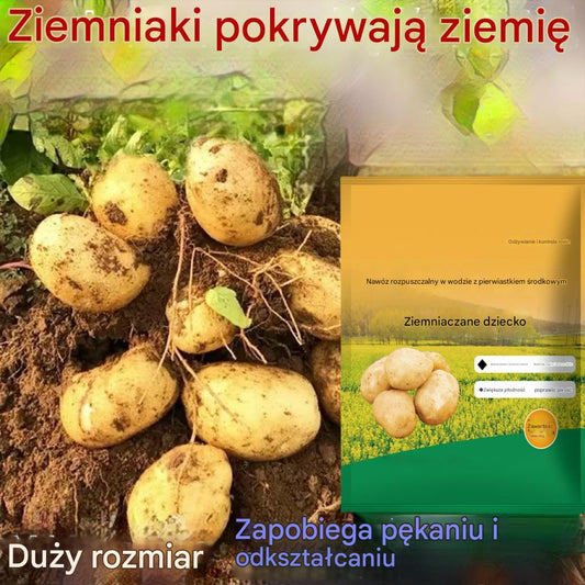 [10 opakowań] Rozpuszczalny nawóz dolistny „Magiczny Ziemniak”｜Do ziemniaków, orzeszków ziemnych, batatów, rzodkwi, taro i cebuli – stymuluje korzenie, zwiększa plony