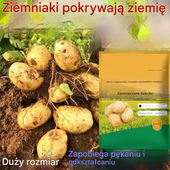 [10 opakowań] Rozpuszczalny nawóz dolistny „Magiczny Ziemniak”｜Do ziemniaków, orzeszków ziemnych, batatów, rzodkwi, taro i cebuli – stymuluje korzenie, zwiększa plony