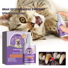 🐶🐱【😍30% zniżki!】Spray dezodorujący i czyszczący zęby dla psów i kotów