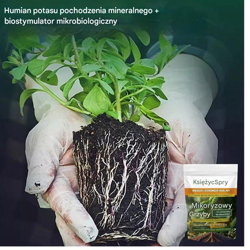 🌱🌳【50% zniżki】Kup jeden, a drugi dostaniesz gratis,Aktywator składników odżywczych do gleby roślinnej wspomaga wzrost i rozwój korzeni u roślin i sadzonek