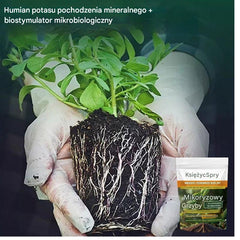 🌱🌳【50% zniżki】Kup jeden, a drugi dostaniesz gratis,Aktywator składników odżywczych do gleby roślinnej wspomaga wzrost i rozwój korzeni u roślin i sadzonek