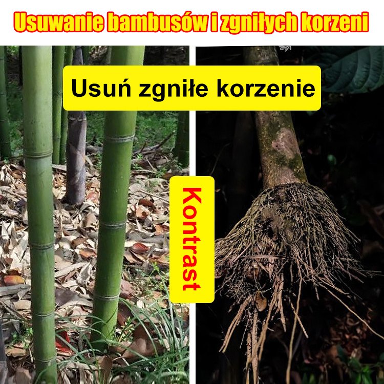 🔥【😍30% zniżki!】👍🌱Herbicyd cyklozynonowy