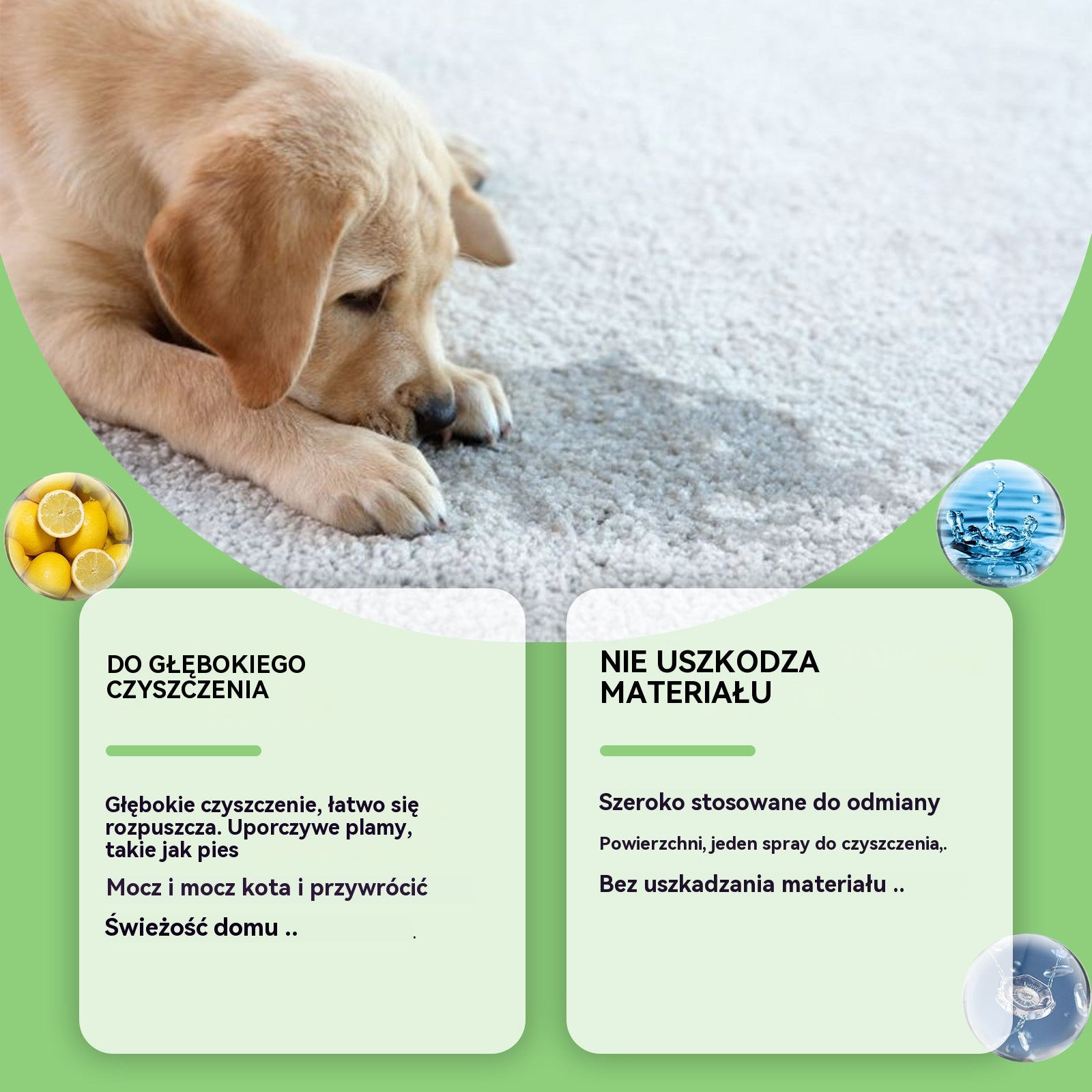 ✨【😍30% zniżki!】🐶🐱Odplamiacz do zwierząt domowych, kotów i psów