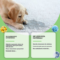 ✨【😍30% zniżki!】🐶🐱Odplamiacz do zwierząt domowych, kotów i psów