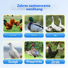【Kup jeden, a drugi dostaniesz gratis】🐔🦆Ogólne leczenie kur, kaczek i gęsi chorych, stojących w miejscu, niejedzących, przeziębionych, chrapiących i cierpiących na biegunkę.