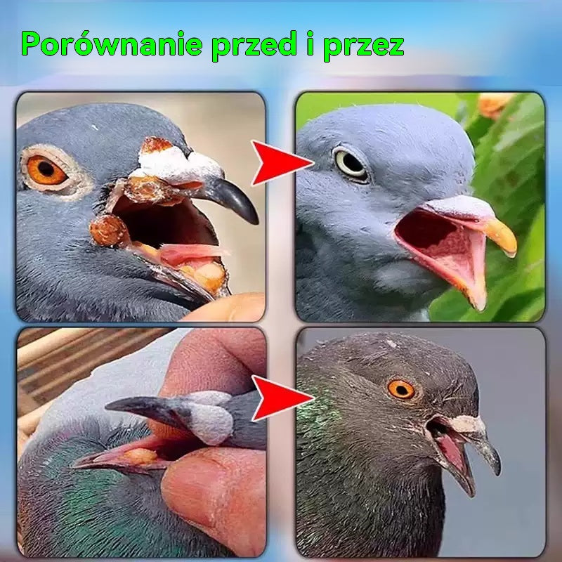 🕊️🕊️【✨Kup 1, a 1 dostaniesz gratis】200 tabletek, lek przeznaczony specjalnie dla gołębi pocztowych, kuracja 6 w 1 dla gołębi — szybkie gojenie, niezwykłe rezultaty!