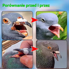 🕊️🕊️【✨Kup 1, a 1 dostaniesz gratis】200 tabletek, lek przeznaczony specjalnie dla gołębi pocztowych, kuracja 6 w 1 dla gołębi — szybkie gojenie, niezwykłe rezultaty!