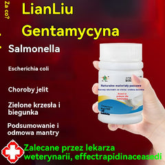 🕊️🕊️【✨Kup 1, a 1 dostaniesz gratis】200 tabletek, lek przeznaczony specjalnie dla gołębi pocztowych, kuracja 6 w 1 dla gołębi — szybkie gojenie, niezwykłe rezultaty!
