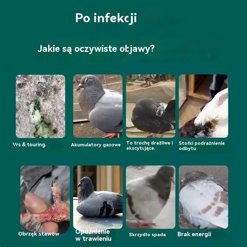 🕊️🕊️【✨Kup 1, a 1 dostaniesz gratis】200 tabletek, lek przeznaczony specjalnie dla gołębi pocztowych, kuracja 6 w 1 dla gołębi — szybkie gojenie, niezwykłe rezultaty!