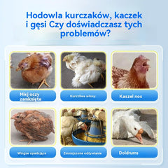 【Kup jeden, a drugi dostaniesz gratis】🐔🦆Ogólne leczenie kur, kaczek i gęsi chorych, stojących w miejscu, niejedzących, przeziębionych, chrapiących i cierpiących na biegunkę.