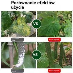🥒🥒【3butelek】Systemiczny fungicyd do ogórków – skuteczna kontrola bakteriozy, żółtej plamistości i chorób liści