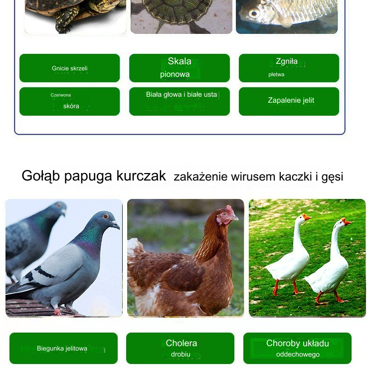 【100 tabletek w butelce】🕊️🐔 Leki weterynaryjne Oksytetracyklina Tabletki przeciwbakteryjne, przeciwzapalne i przeciwbiegunkowe