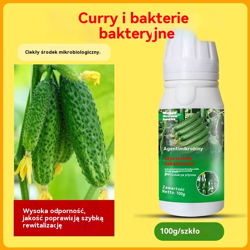 🥒🥒【3butelek】Systemiczny fungicyd do ogórków – skuteczna kontrola bakteriozy, żółtej plamistości i chorób liści