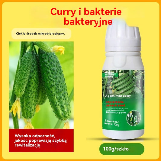 🥒🥒【3butelek】Systemiczny fungicyd do ogórków – skuteczna kontrola bakteriozy, żółtej plamistości i chorób liści