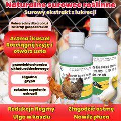 🕊️Roztwór doustny dla ptaków ✅ Smażona sierść ✅ Wymioty ✅ Brak energii ✅ Potrząsanie głową i szyją